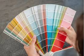 Color Consultation